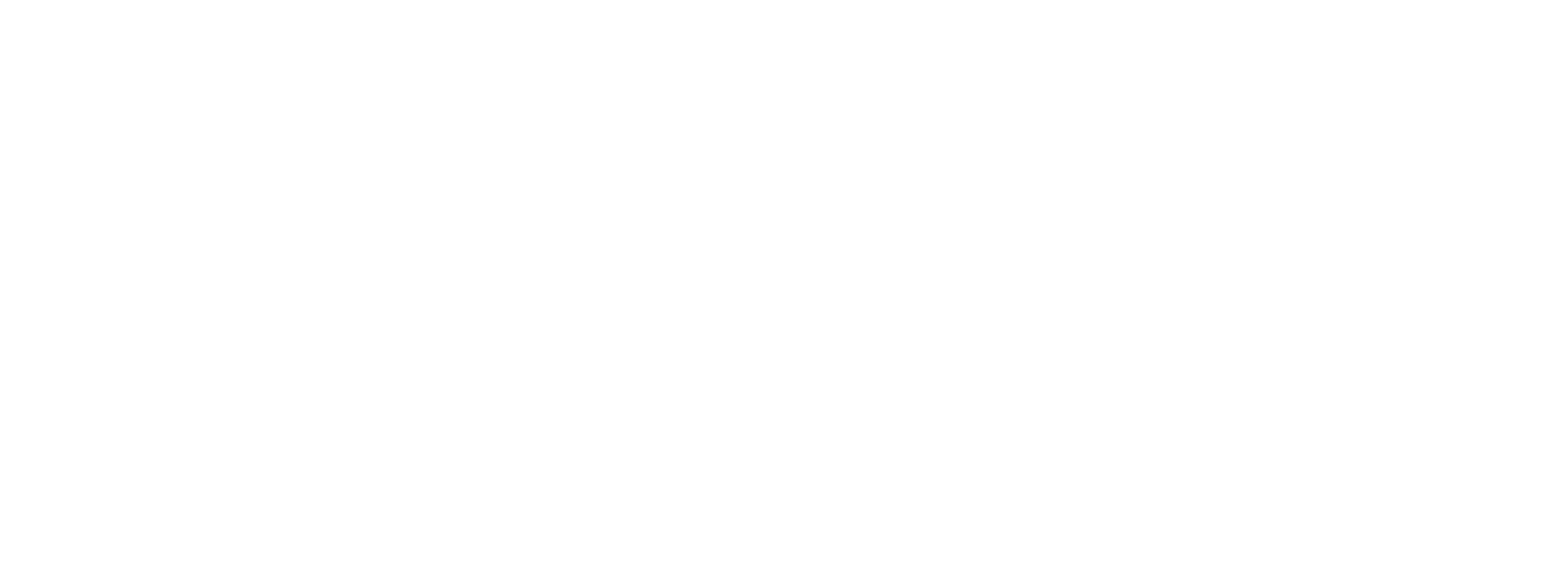 SteinAdler Versicherung